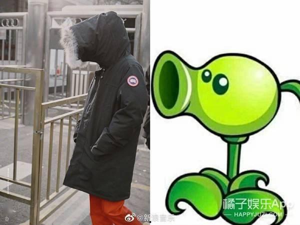 娱乐吃瓜君大嘴猴,揭秘娱乐圈那些不为人知的幕后故事