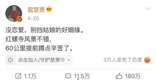 娱乐吃瓜博主文案短句,吃瓜博主短句背后的惊人真相