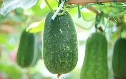 娱乐吃瓜文章推荐,明星们的幕后故事与惊人真相