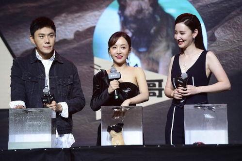 娱乐圈最全吃瓜合集,揭秘最全吃瓜合集背后的精彩故事